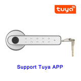 Tuya APP Remote Control Smart Fingerprint Password Lock Electric Biometrics Code Number Single Latch Door Lock With Key