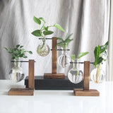 Vintage Glass Bulb Vase with Wooden Stand - Creative Desktop Planter