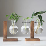 Vintage Glass Bulb Vase with Wooden Stand - Creative Desktop Planter